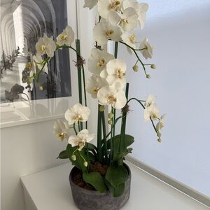 Elegant Faux White Orchid Arrangement